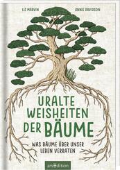 Uralte Weisheiten der Bäume. Was Bäume über unser Leben verraten